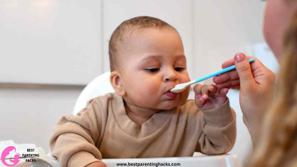 Can Babies Eat Sour Cream?